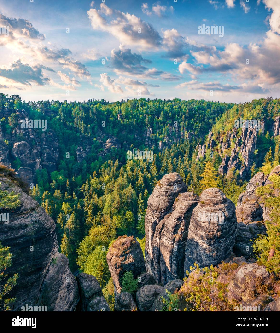 Scena Misty mattina di roccia arenaria nel Parco Nazionale della Svizzera Sassonia con ponte di Bastei sullo sfondo. Splendida vista estiva della Germania, Sassonia, E. Foto Stock