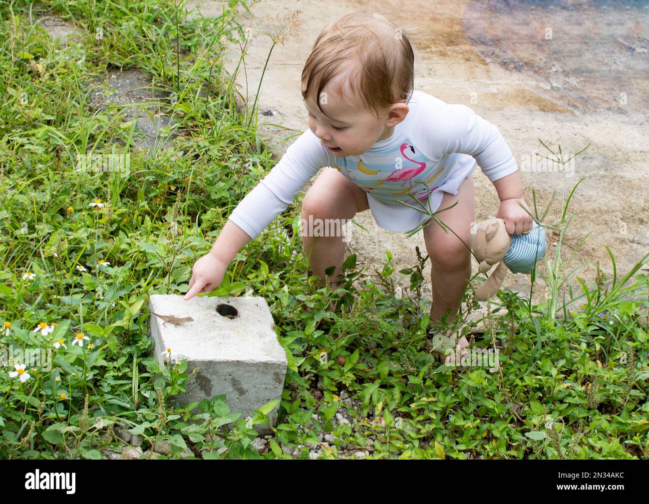 piccolo bambino caucasico esplorando la natura sul cortile posteriore. toddler che indica la lucertola all'aperto Foto Stock