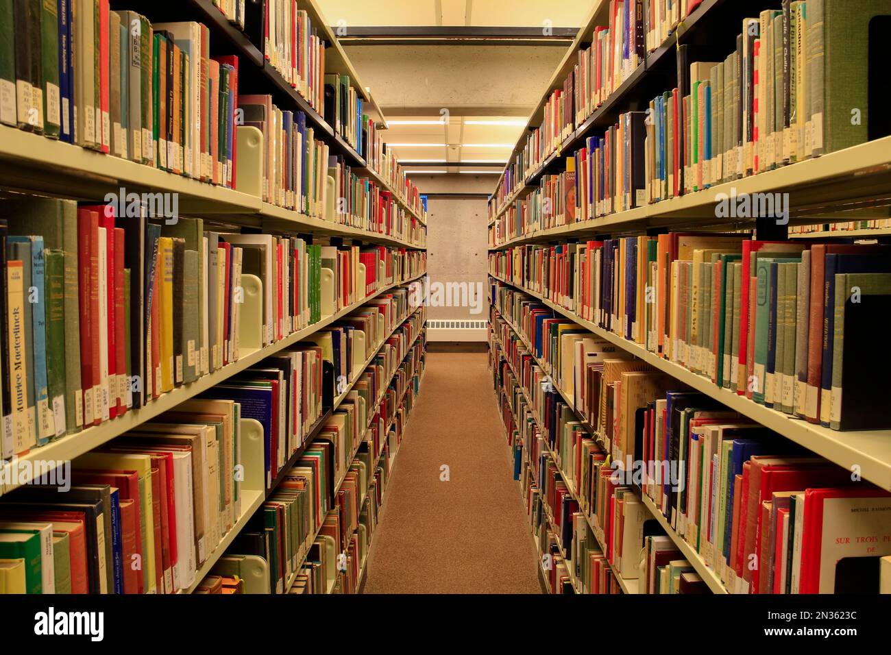 Tentanda Via è il motto dell'Università di York: "La strada deve essere provata". Qui in Scott Library, cosa simboleggia l'apprendimento più di pile di libri? Foto Stock