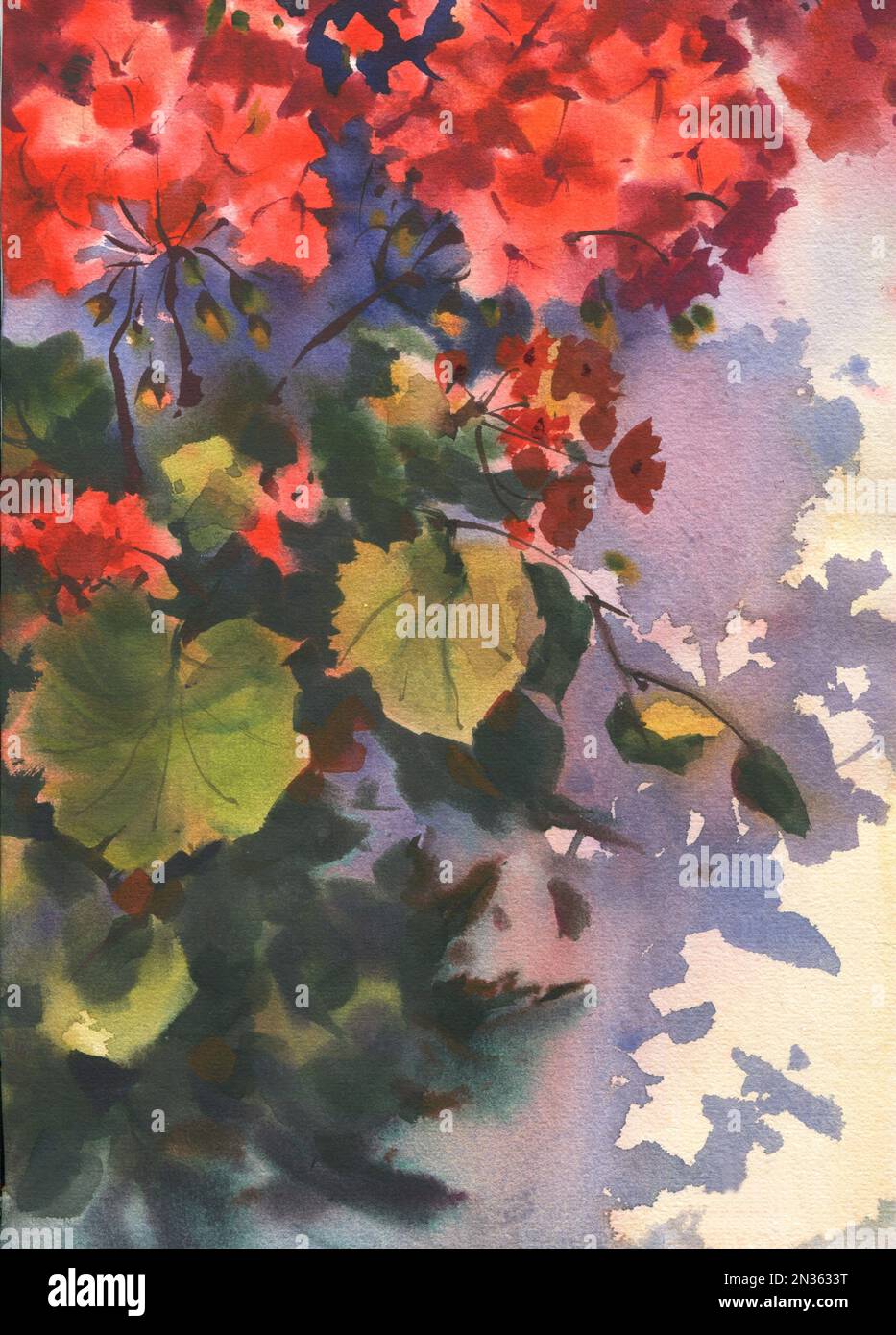 Un disegno acquerello con i fiori rossi decorerà perfettamente la vostra sede. Può essere usato per stampare cartoline, su vestiti, accessori, inviti di nozze, Foto Stock