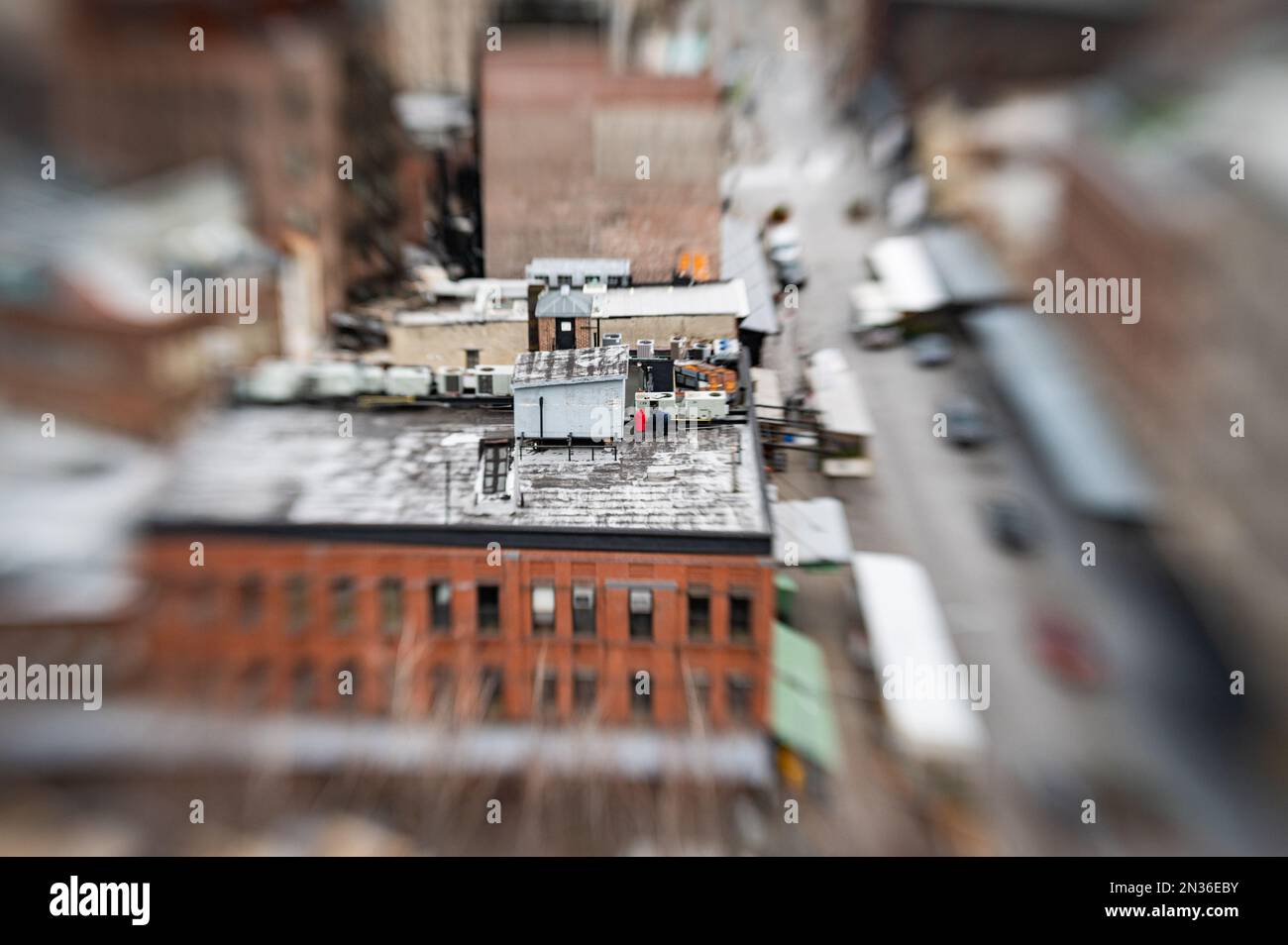 Una vista selettiva della 'casa del colla' sullo spazio abitativo all'aperto di un tetto di un edificio di appartamenti nel quartiere Meatpacking. Foto Stock