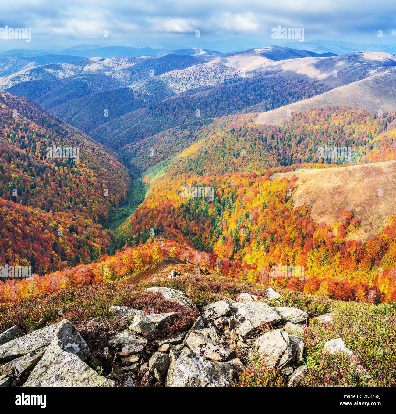 Splendido paesaggio autunnale colorato delle montagne dei Carpazi. Foto Stock