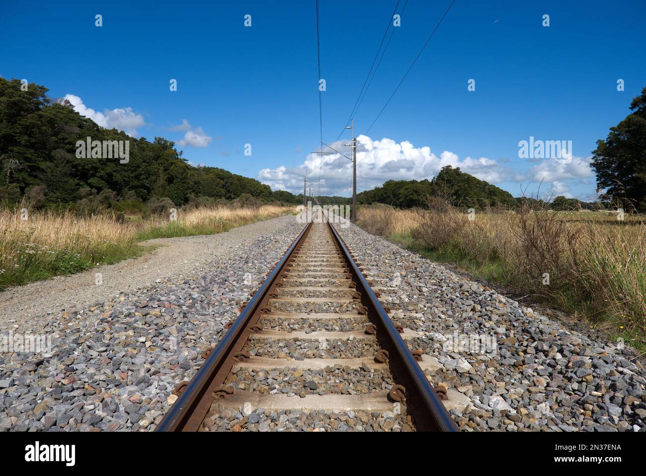 Tracce del treno - Rangataua, Nuova Zelanda Foto Stock