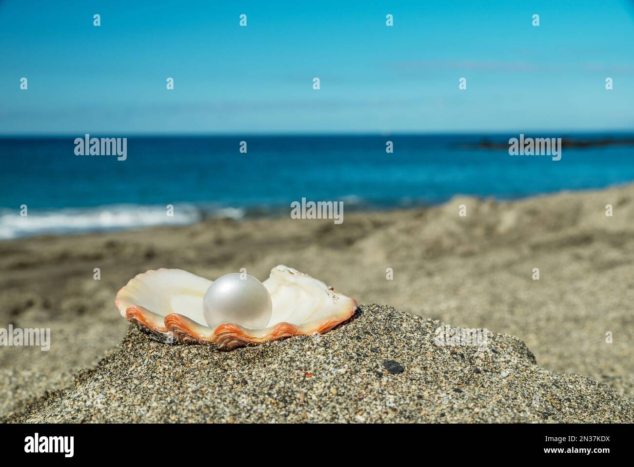 Bella perla nella conchiglia della perla sulla spiaggia di sabbia. Mare e cielo blu. Foto Stock