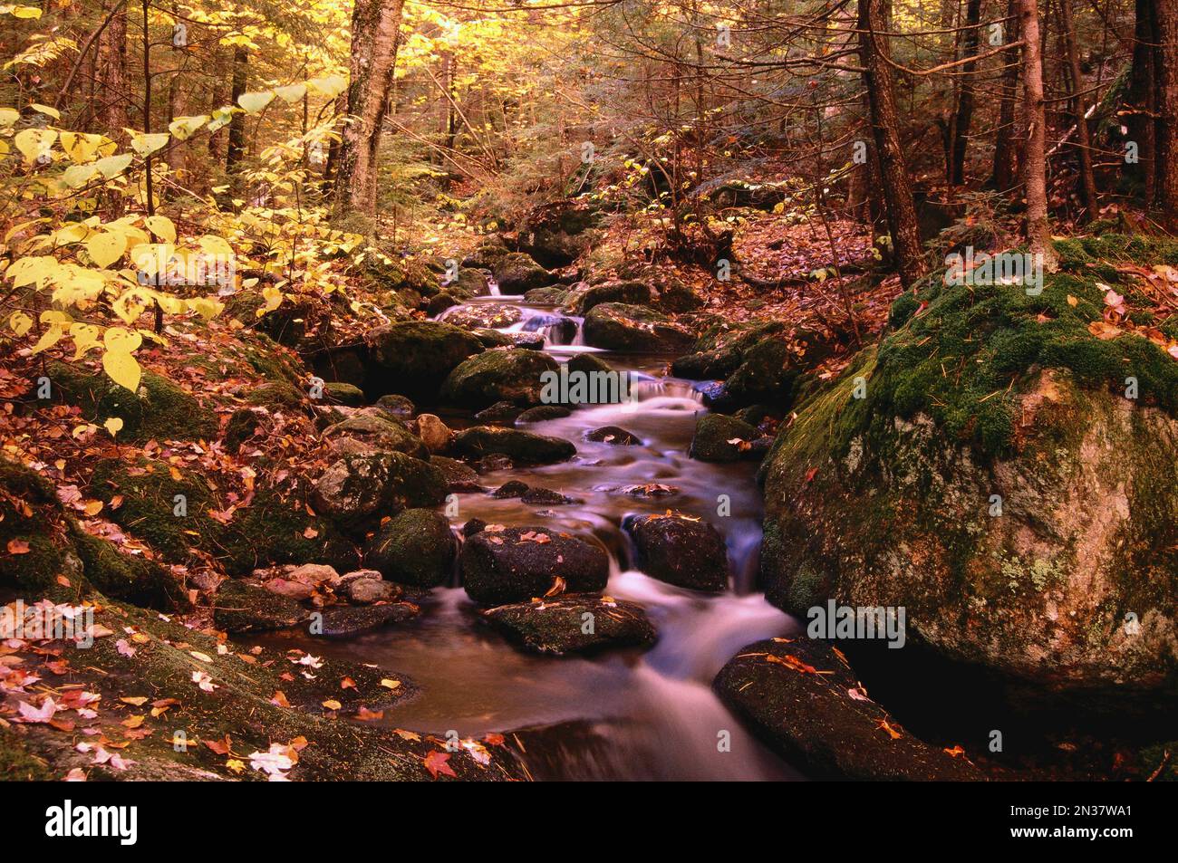 Diciannove miglio Brook in autunno, White Mountains National Forest, New Hampshire, STATI UNITI D'AMERICA Foto Stock