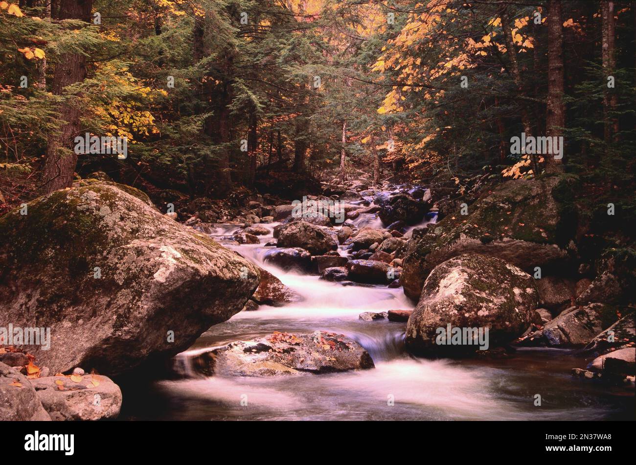 Diciannove miglio Brook, White Mountains National Forest, New Hampshire, STATI UNITI D'AMERICA Foto Stock