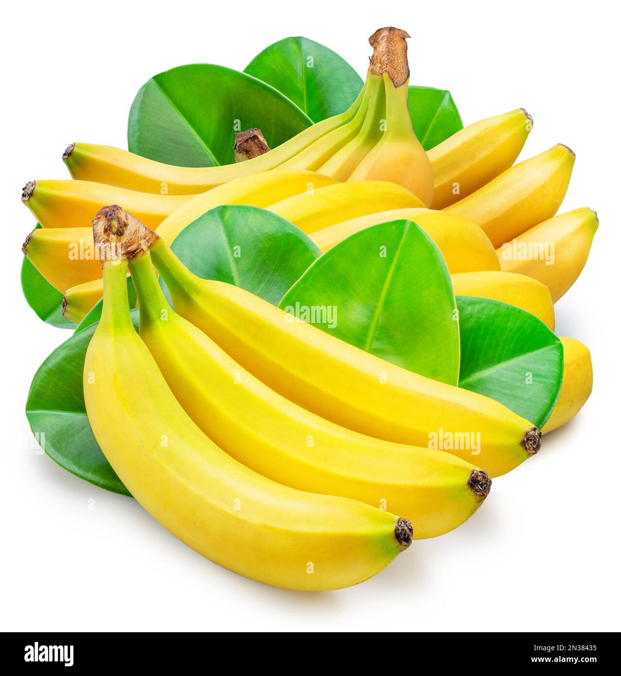 I grappoli della banana sopra le foglie verdi della banana isolati su fondo bianco. Foto Stock