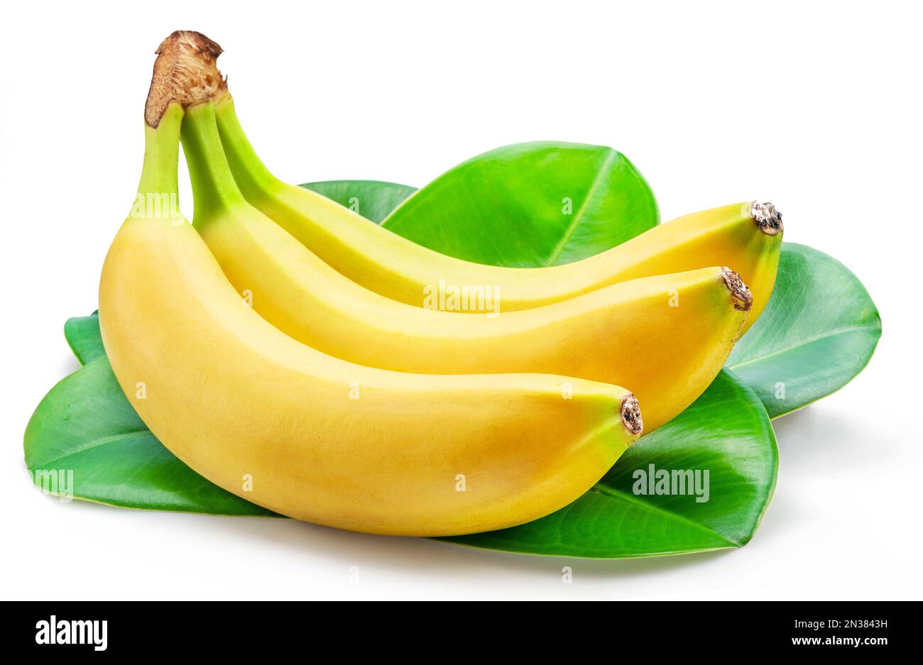 Banana mazzo su foglie di banana verde isolato su sfondo bianco. Foto Stock