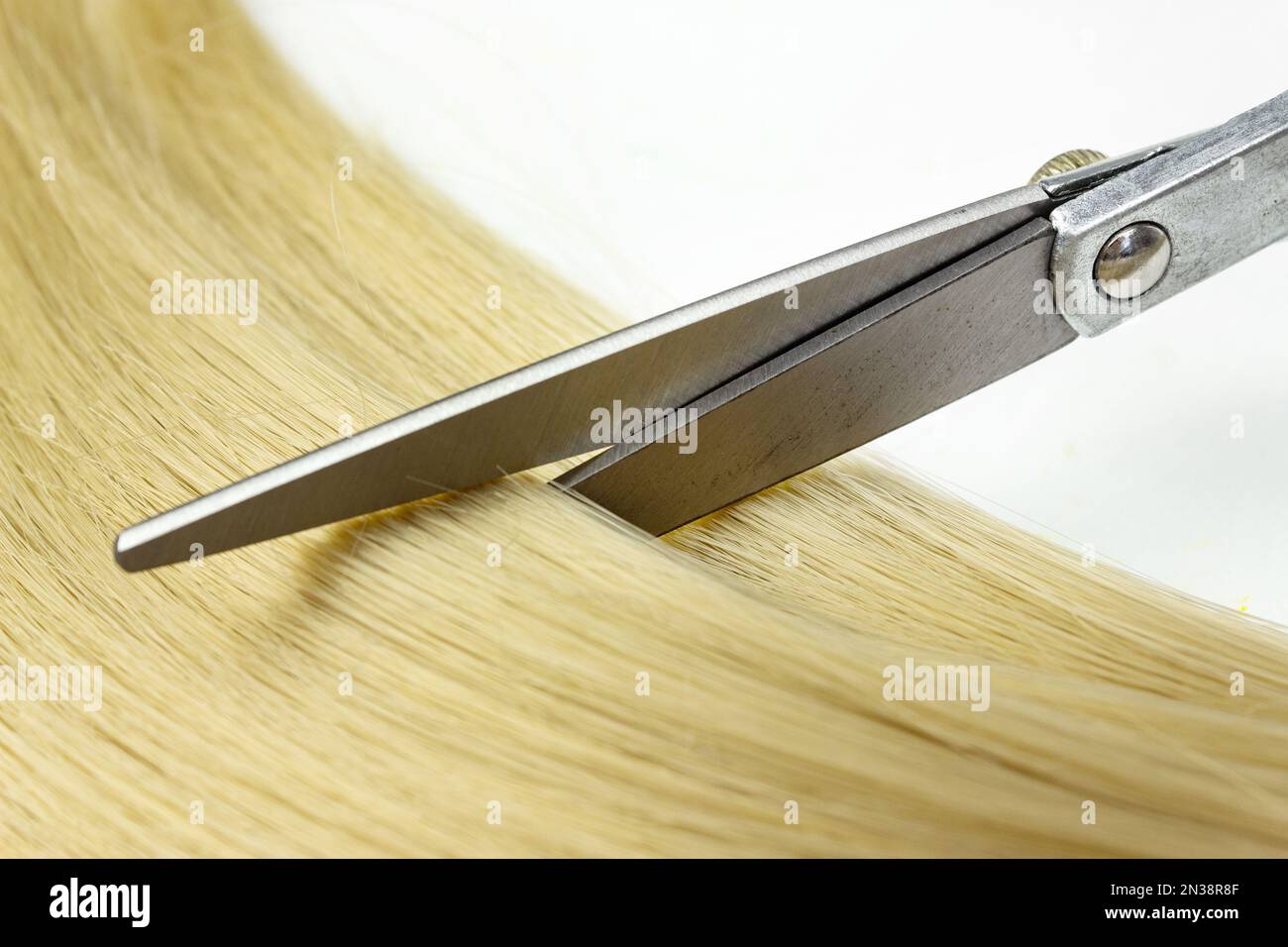 Forbici da parrucchiere con capelli biondi su sfondo chiaro primo piano Foto Stock