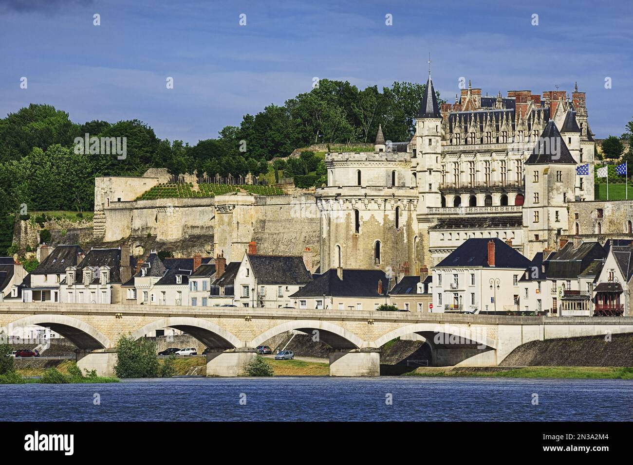 Chateau d'Amboise, Amboise, Indre-et-Loire, Valle della Loira, Francia Foto Stock