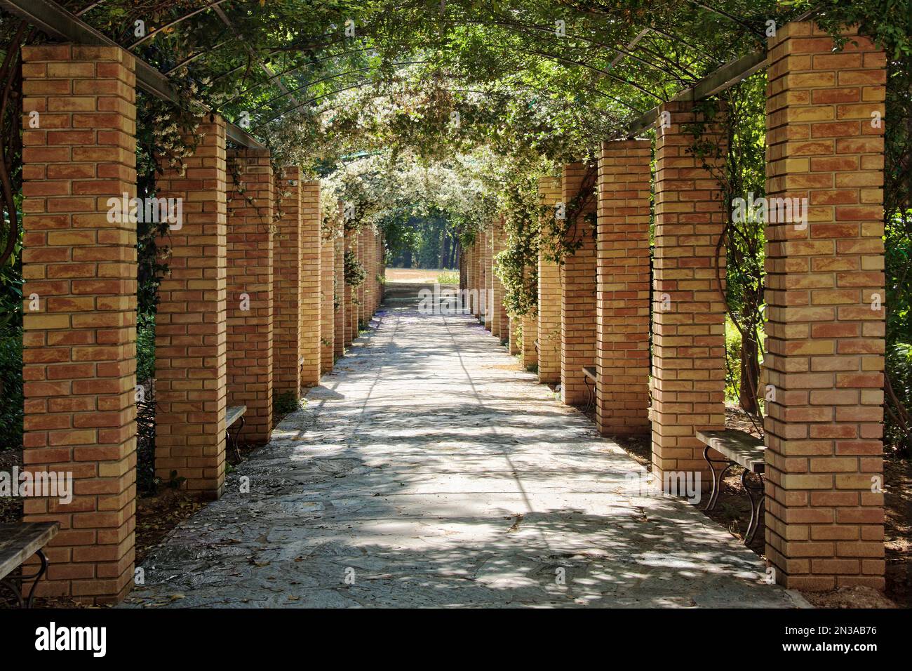 La passerella, il Giardino Nazionale di Atene, Zappeion, Atene, Attica, Grecia Foto Stock