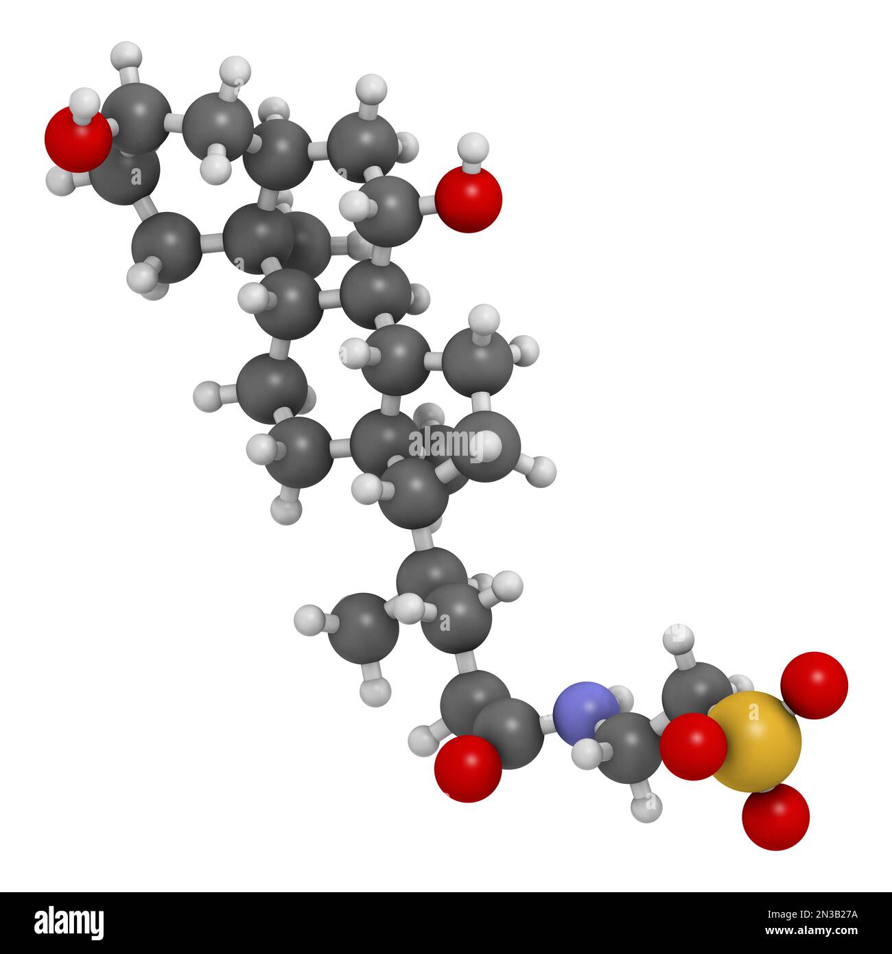 Molecola di acido tauroursodesossicolico (TUDCA). Coniugato di taurina e acido ursodesossicolico. Rendering 3D. Gli atomi sono rappresentati come sfere con convento Foto Stock
