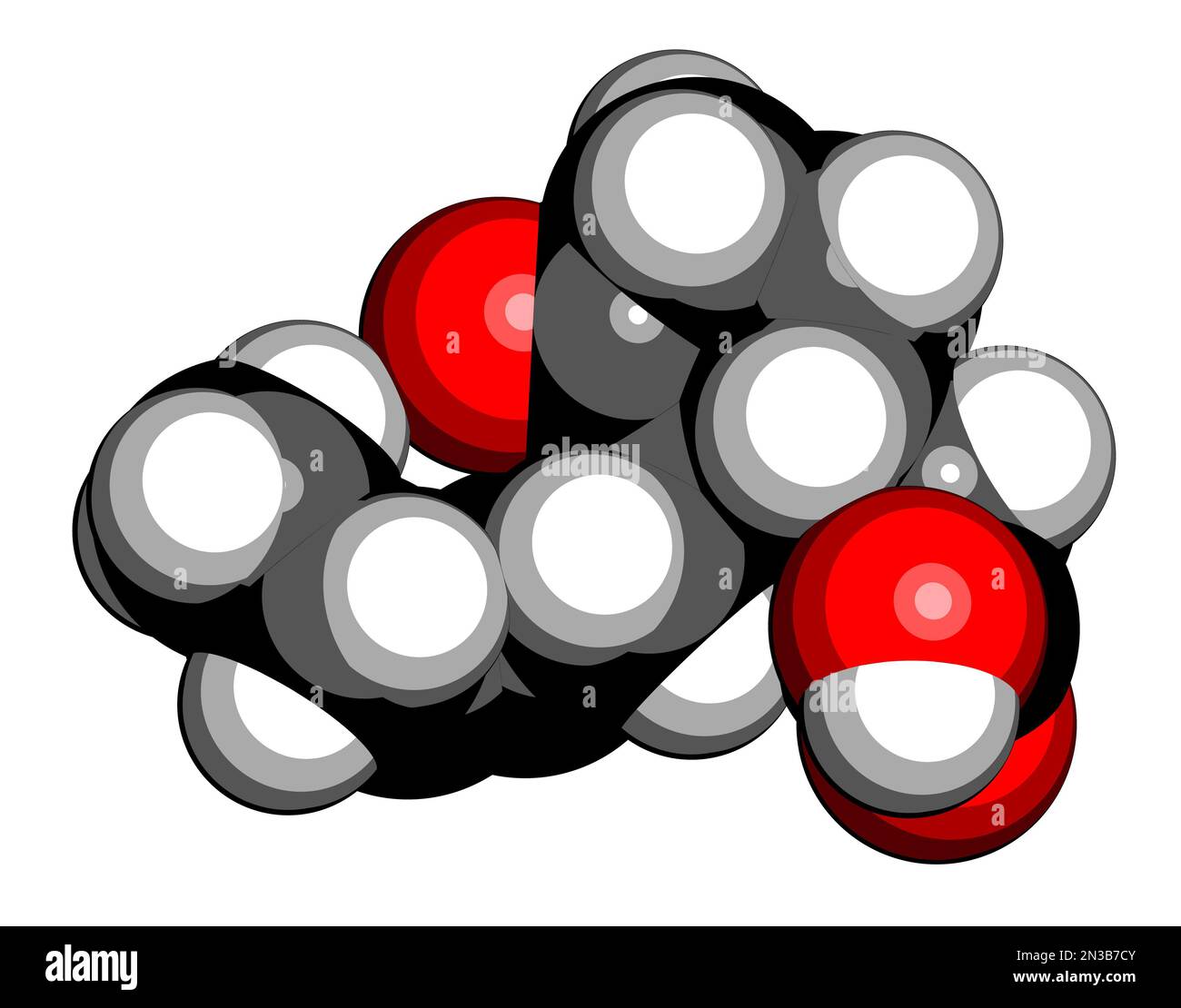 Molecola di ormone vegetale di acido jasmonico (jasmonato, JA). Rendering 3D. Gli atomi sono rappresentati come sfere con codifica a colori convenzionale: Idrogeno (bianco), Foto Stock