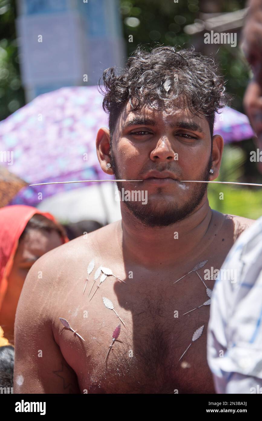 Thaipoosam Cavadee a Mauritius: Rituale e penitenza tamil. I devoti perforano le guance e la lingua e portano 'Cavadee' nel pellegrinaggio al tempio. Foto Stock