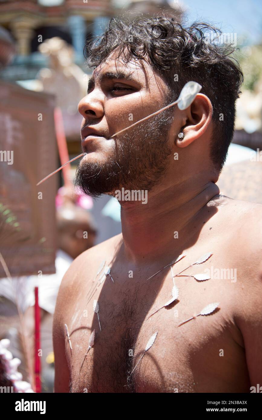 Thaipoosam Cavadee a Mauritius: Rituale e penitenza tamil. I devoti perforano le guance e la lingua e portano 'Cavadee' nel pellegrinaggio al tempio. Foto Stock