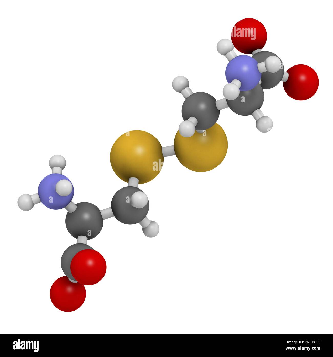 Molecola di cistina. Dimero ossidato dell'amminoacido cisteina. Rendering 3D. Gli atomi sono rappresentati come sfere con codifica a colori convenzionale: Idrogeno ( Foto Stock