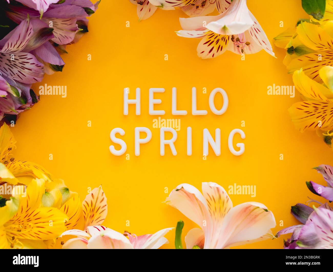 Testo CIAO PRIMAVERA su sfondo giallo brillante con bordo di fiori freschi di alstroemeria. Biglietto di auguri di stagione. Foto Stock