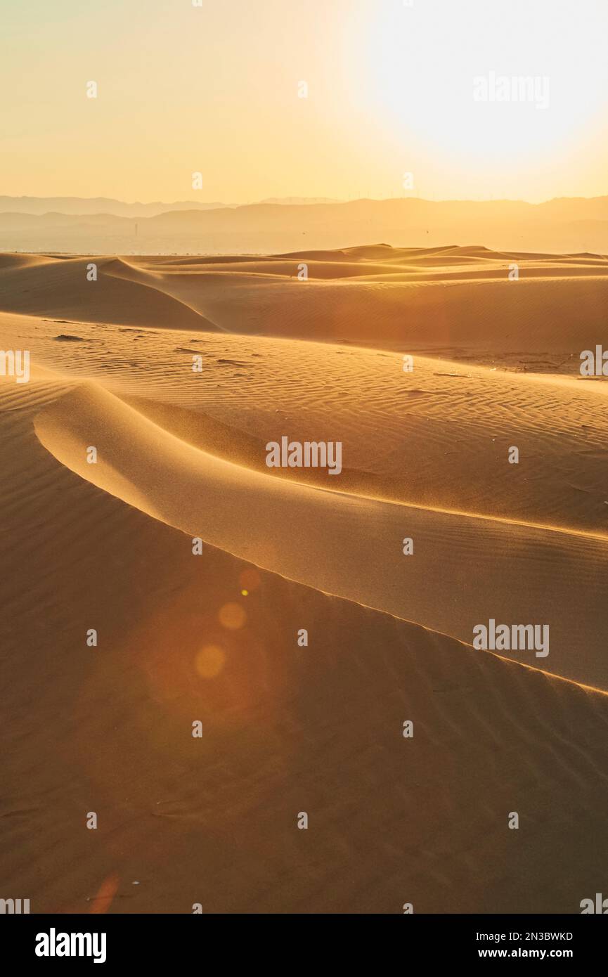 Dune di sabbia ondulate al tramonto, delta del fiume Ebro; Catalogna, Spagna Foto Stock