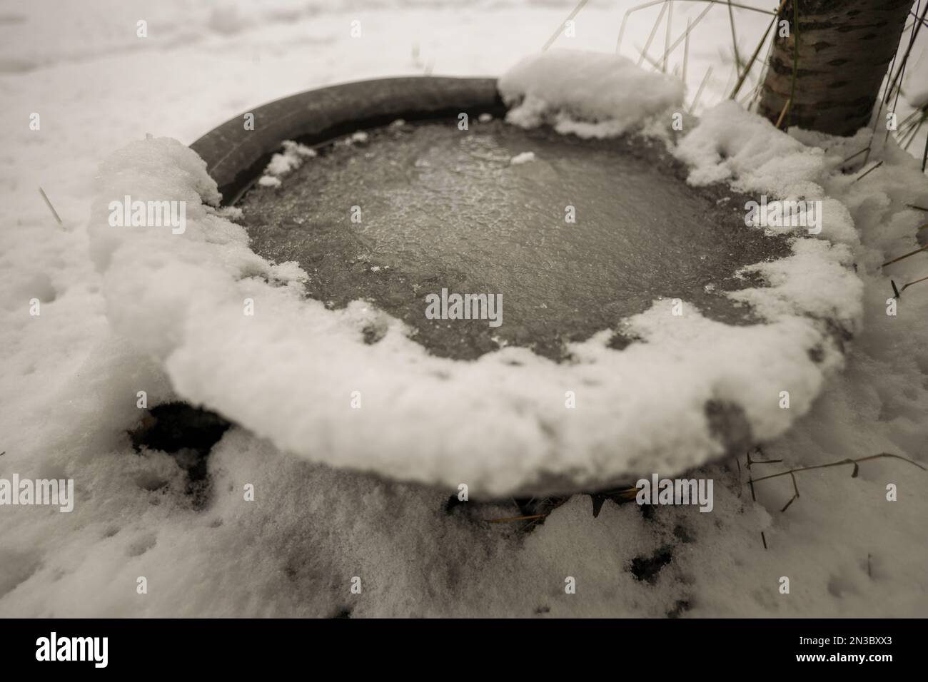 Neve, una ciotola di ottone con acqua ghiacciata Foto Stock