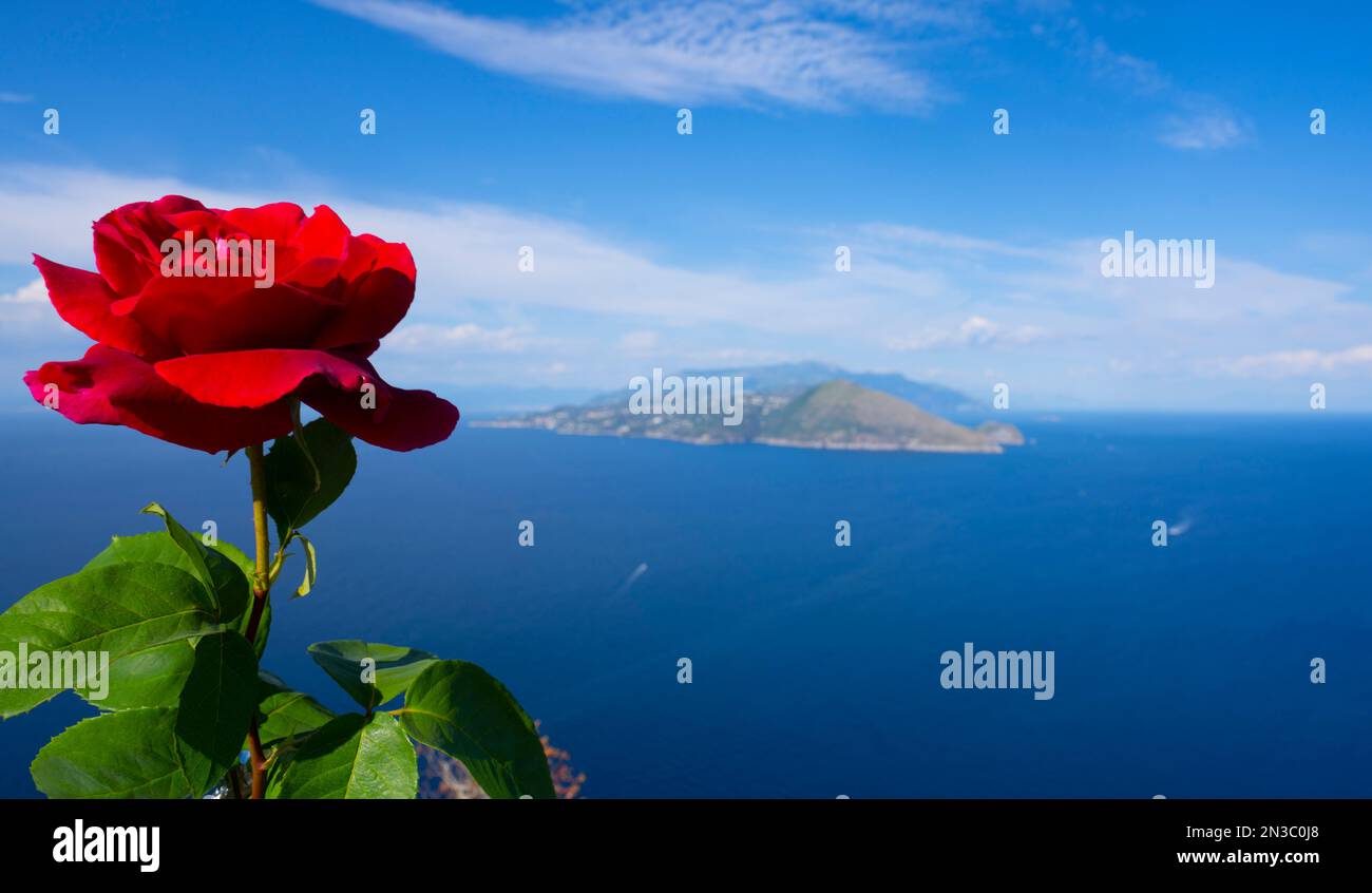 Una rosa rossa incornicia la vista da Villa Jovis sull'isola di Capri sulla Costiera Amalfitana e sul Golfo di Napoli; Napoli, Capri, Italia Foto Stock