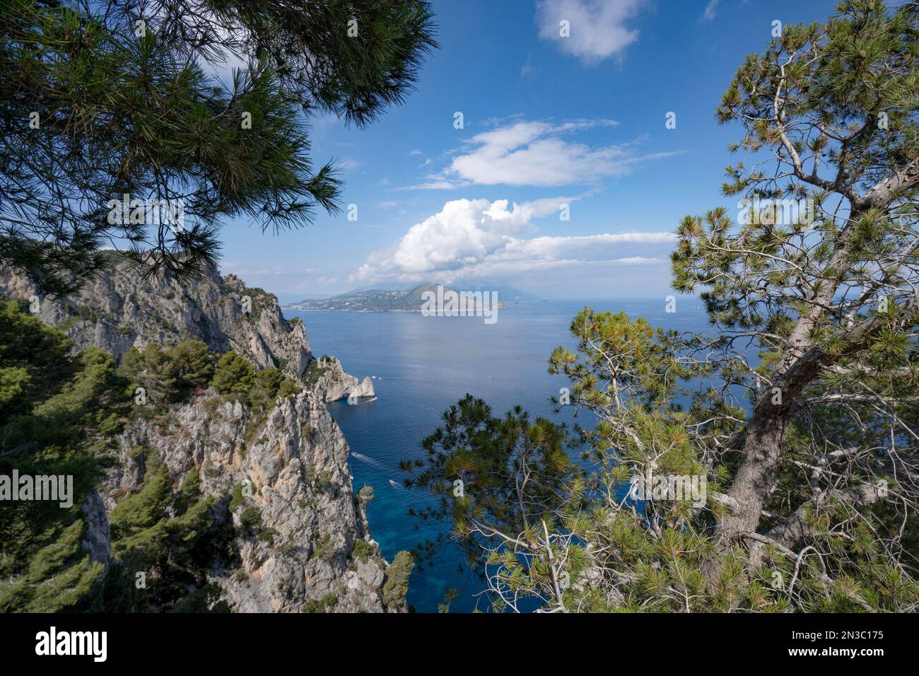 Ammira attraverso gli alberi dalle scogliere rocciose dell'isola di Capri sopra la Costiera Amalfitana e il Golfo di Napoli; Napoli, Capri, Italia Foto Stock