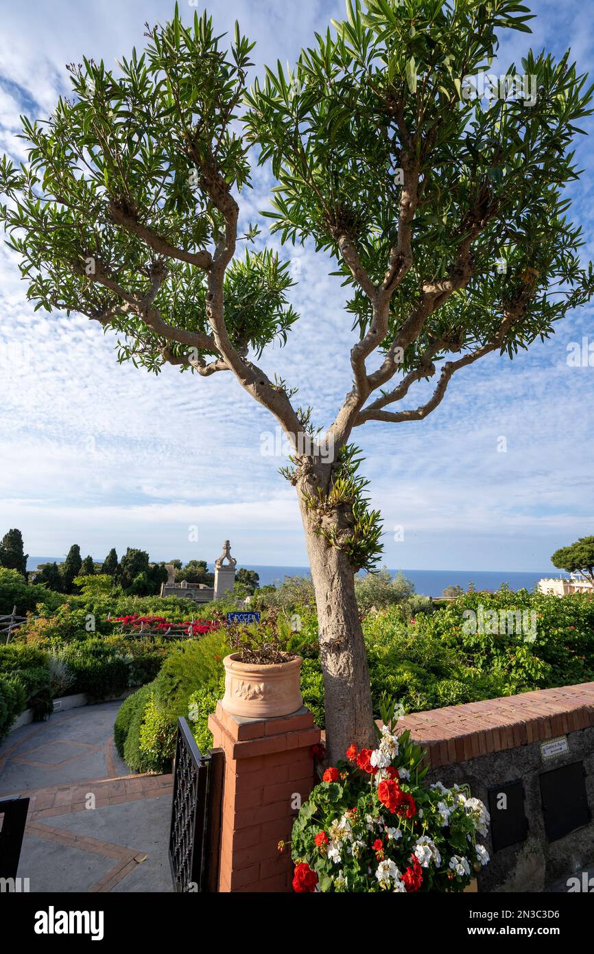 Capri Town, passerella con giardino e terrazza con vista sulla costa del Mar Tirreno su un altopiano come una sella sopra il mare con l'isola... Foto Stock
