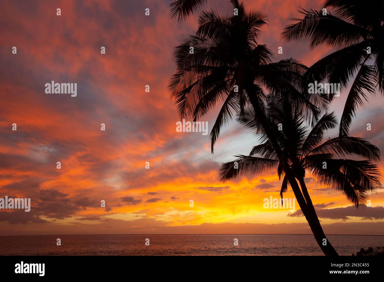 Stupendo tramonto tropicale sull'Oceano Pacifico con la silhouette di palme su una spiaggia di Kihei Foto Stock