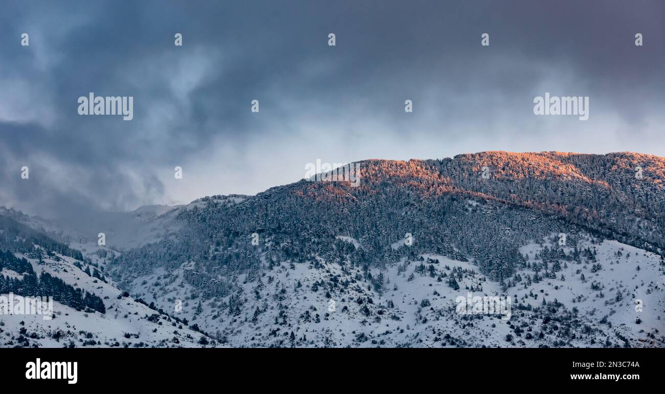 Bellissimo paesaggio di alta montagna coperto di neve nella nebbia. Luce al tramonto leggera. Inverno clima freddo. Libano. Foto Stock