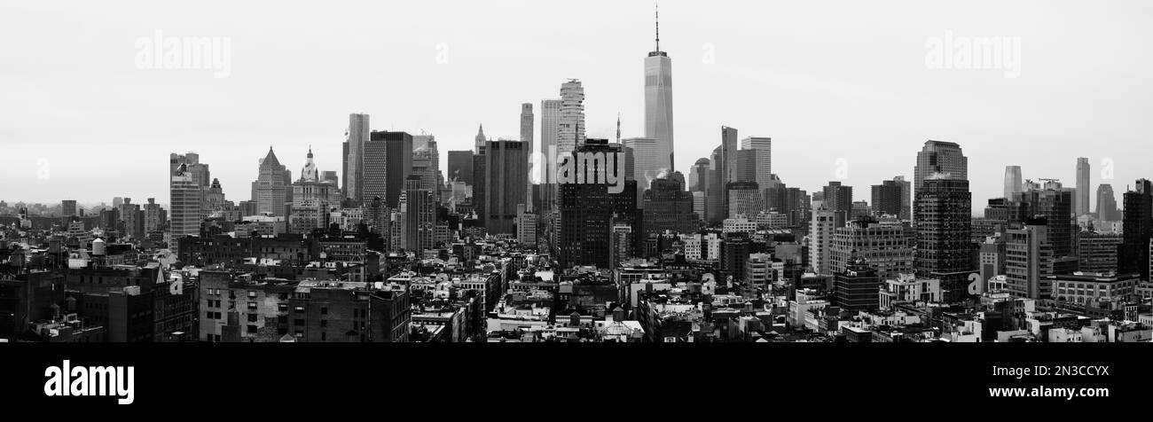 Un'ampia fotografia dello skyline del centro di New York. La foto scattata dalle Silver Towers su Houston Ave mostra la Freedom Tower. Foto Stock