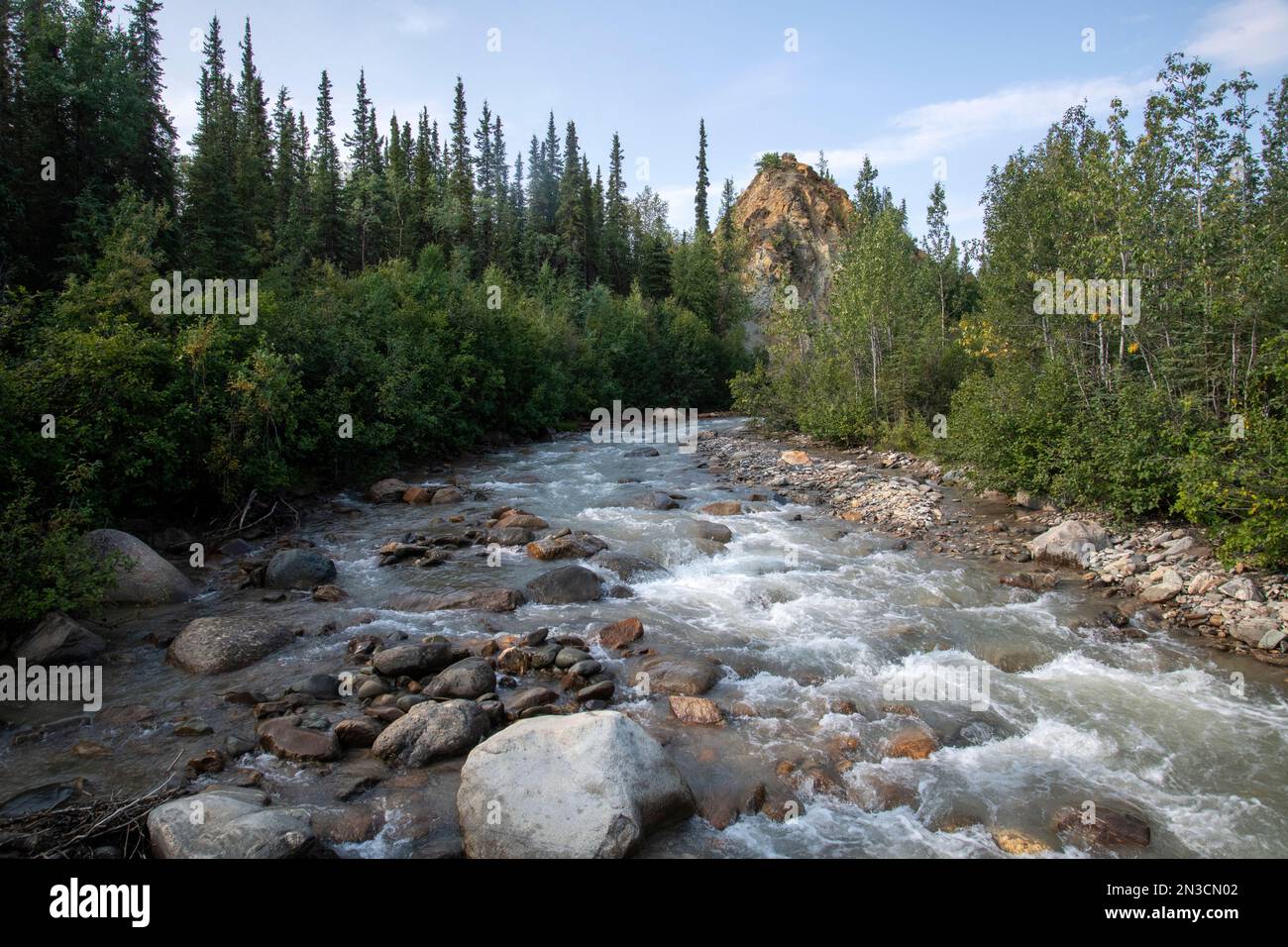 Guardando a monte dal ponte Hines Creek sul Triple Lakes Trail Foto Stock