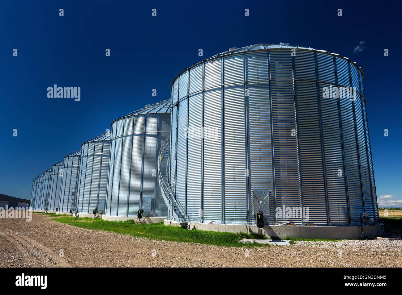 Fila di grandi contenitori di cereali metallici con cielo blu; a sud-est di Calgary, Alberta, Canada Foto Stock