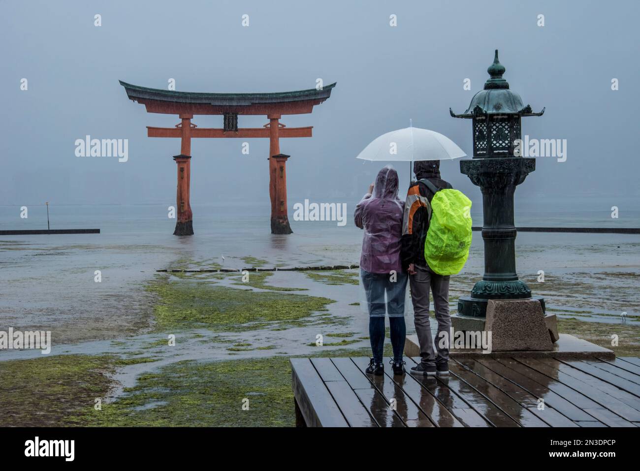 Vista presa da dietro di un paio di turisti che guardano la grande porta Torii a Miyajima, ufficialmente chiamata Itsukushima. E' una piccola isola les... Foto Stock
