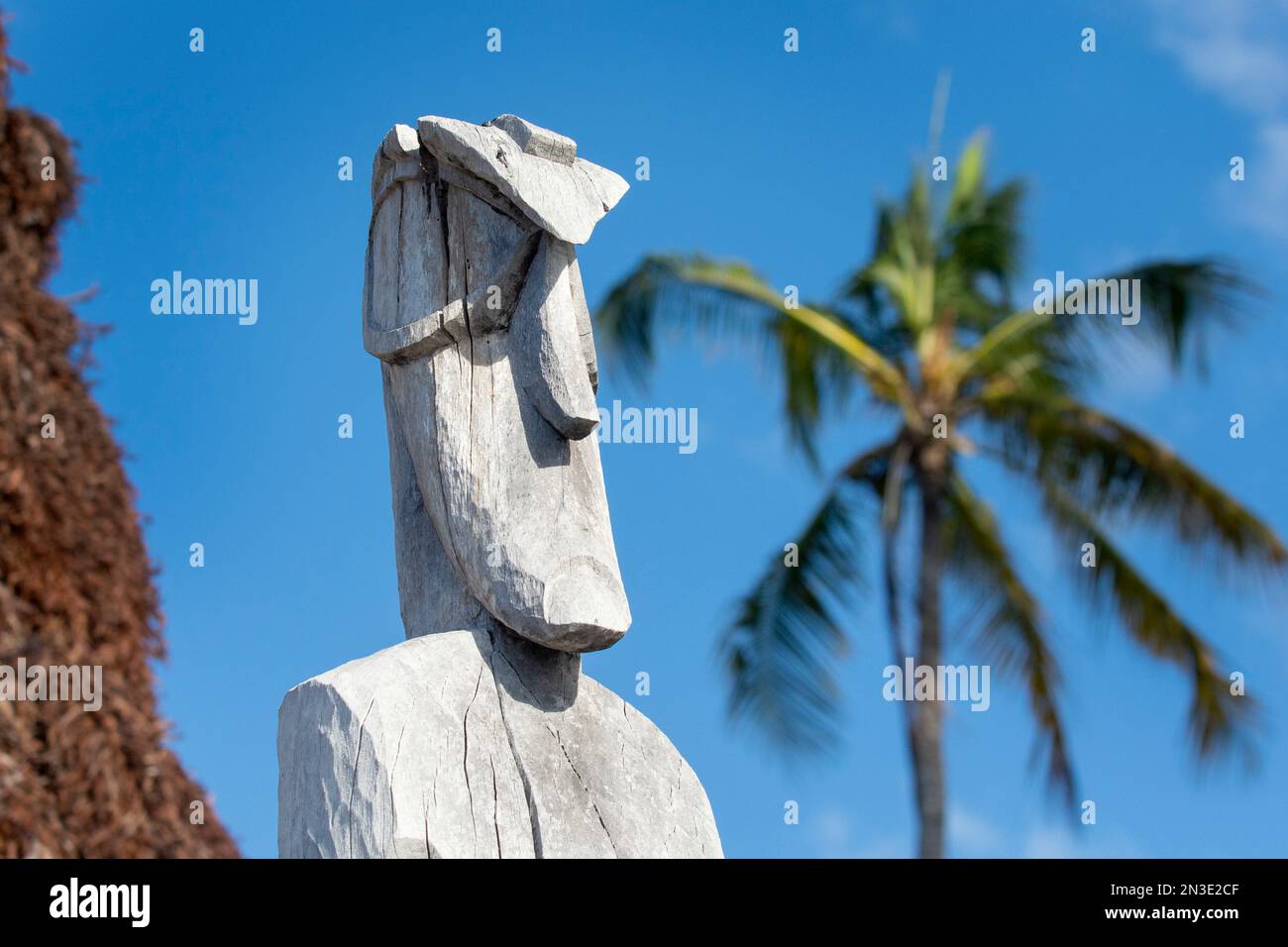 Primo piano di una statua in legno (ki'i) di una divinità hawaiana al Parco Nazionale PU'uhonua o Hōnaunau, uno degli antichi meglio conservati, pu'uhonua (luogo... Foto Stock