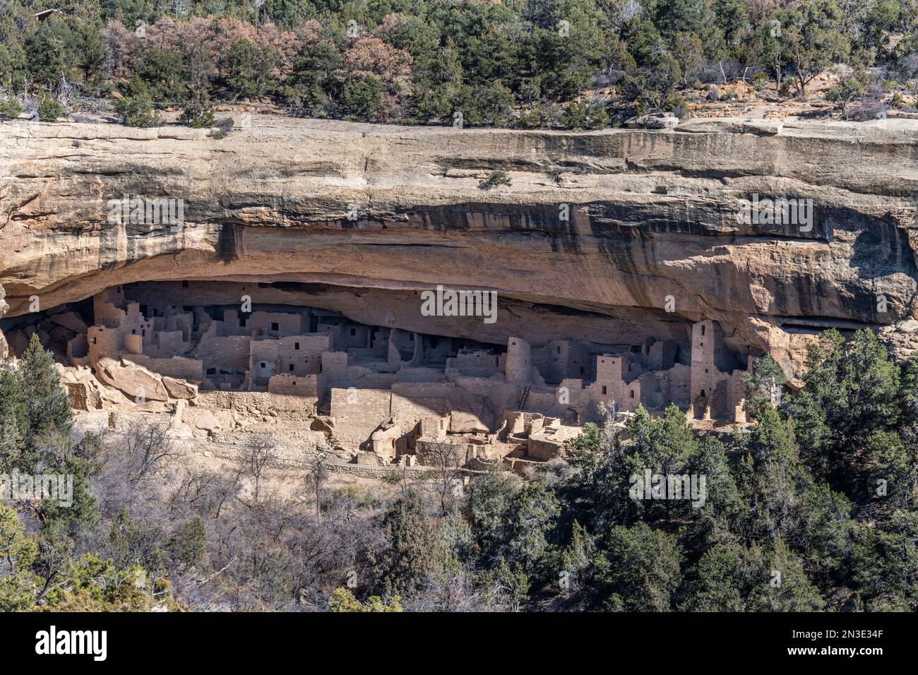Uno sguardo al Cliff Palace, alle dimore Cliff nel Parco Nazionale di Mesa Verde; Mancos, Colorado, Stati Uniti d'America Foto Stock