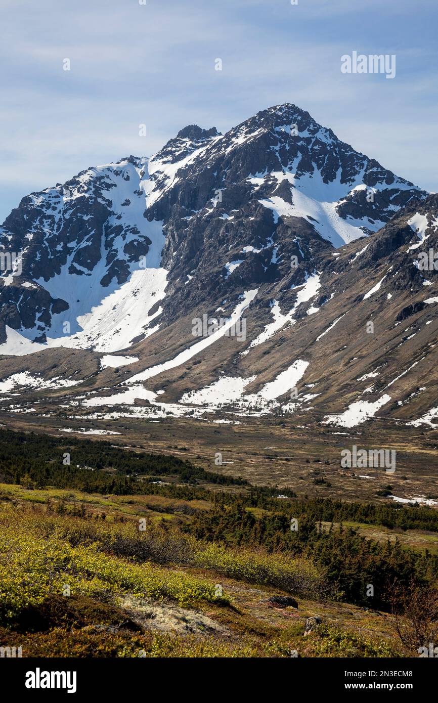 Ptarmigan Peak e la tundra alpina nelle Chugach Mountains, Chugach State Park; Anchorage, Alaska, Stati Uniti d'America Foto Stock