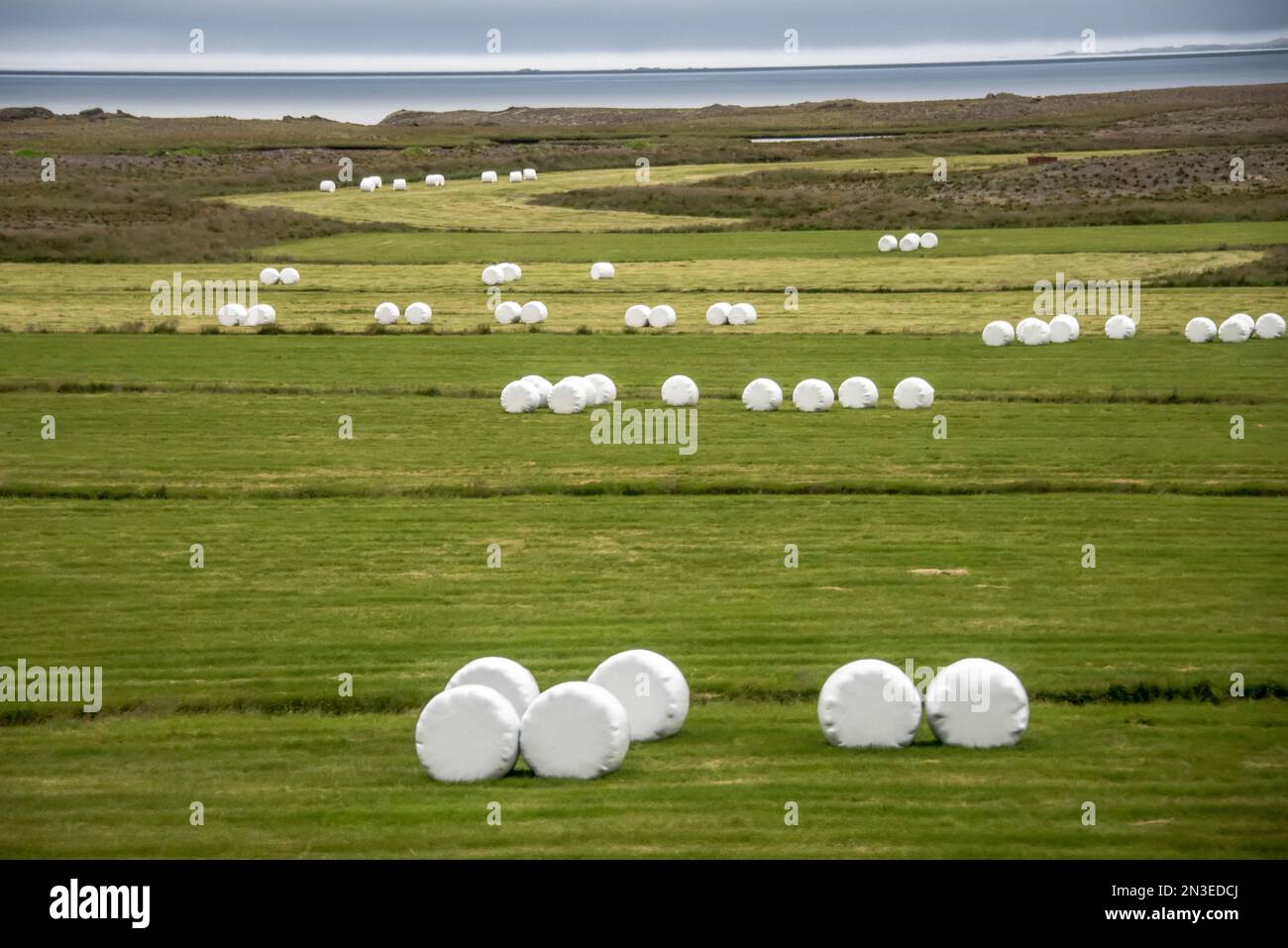 Terreni agricoli punteggiati di balle di fieno rotonde tagliate per l'alimentazione degli animali e confezionate in plastica per proteggere contro gli inverni rigidi nella regione settentrionale dell'Islanda dell'IVA... Foto Stock