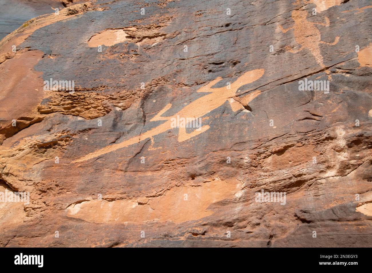 Antiche incisioni rupestri raffiguranti lucertole su una parete rocciosa nel Dinosaur National Monument; Utah, Stati Uniti d'America Foto Stock