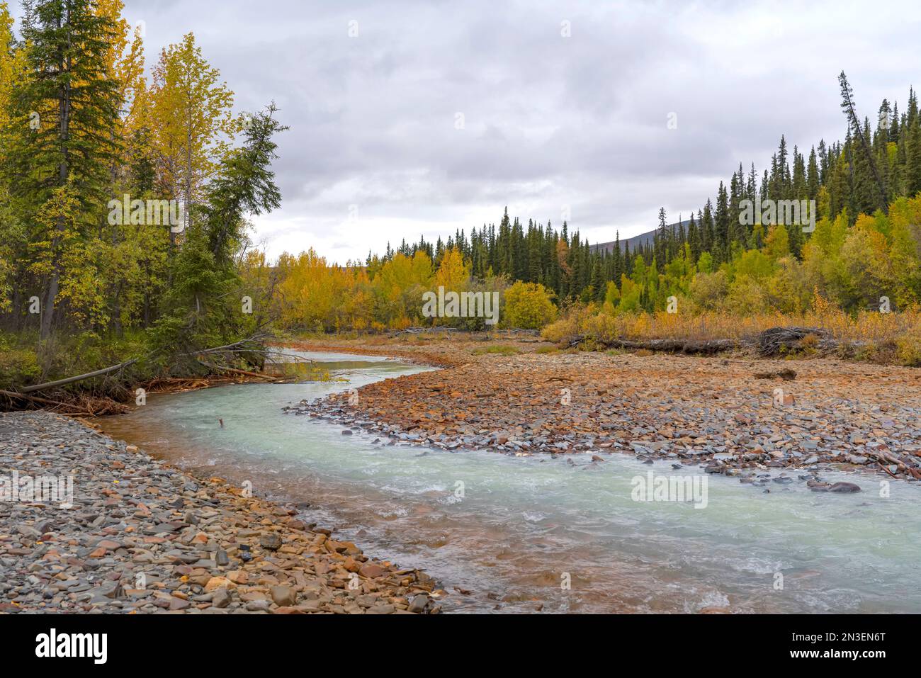 Il fiume Rock nello Yukon settentrionale in autunno; Circolo Polare Artico, Yukon, Canada Foto Stock