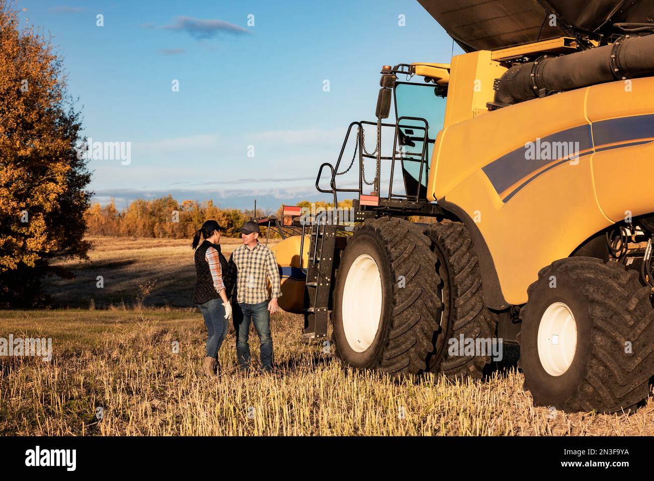 Un marito e una moglie in piedi in un campo accanto a una mietitrebbia e che hanno una conversazione mentre gestiscono la loro resa durante la loro caduta, canola h... Foto Stock
