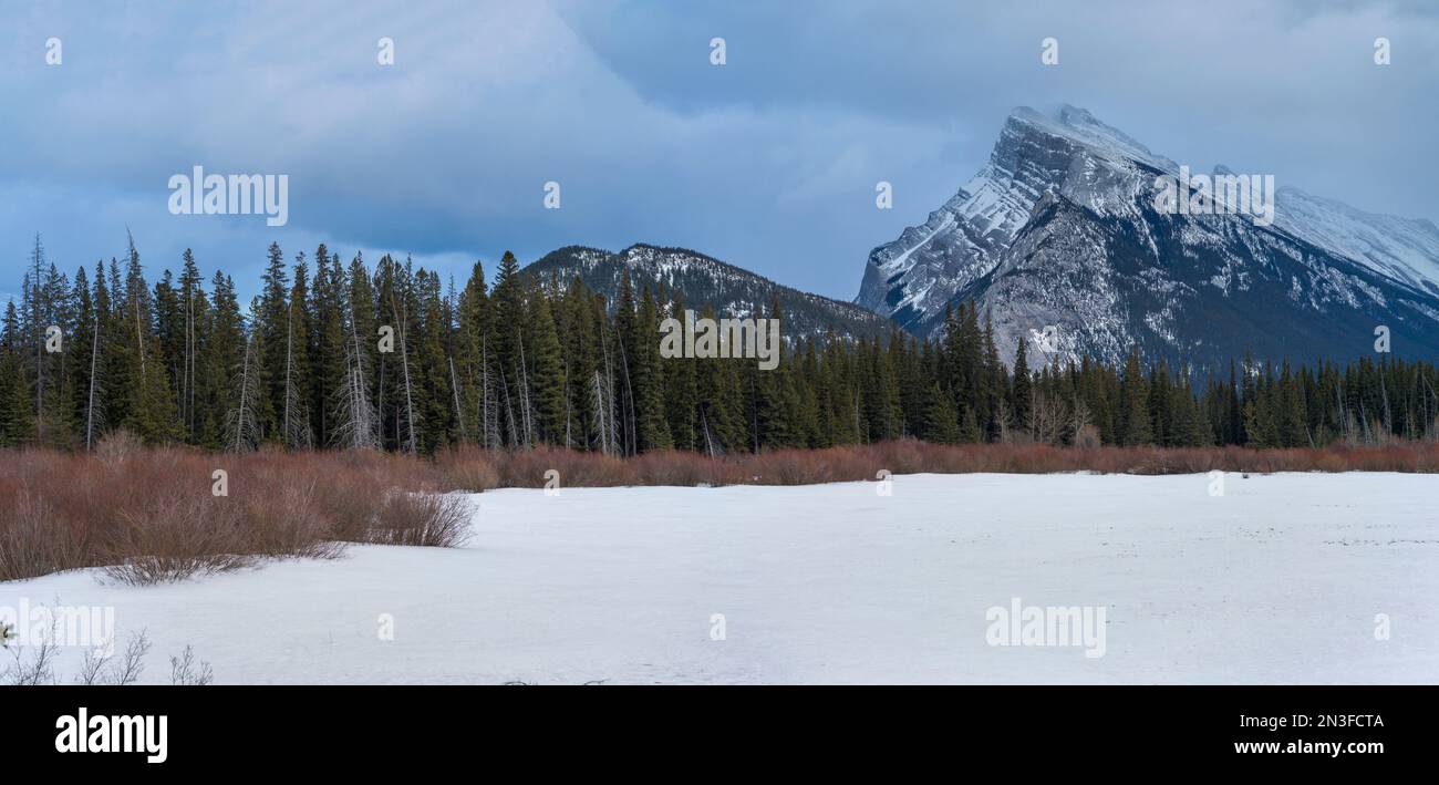 Scena invernale con Mount Rundle nel Banff National Park, Alberta, Canada; Improvement District No. 9, Alberta, Canada Foto Stock