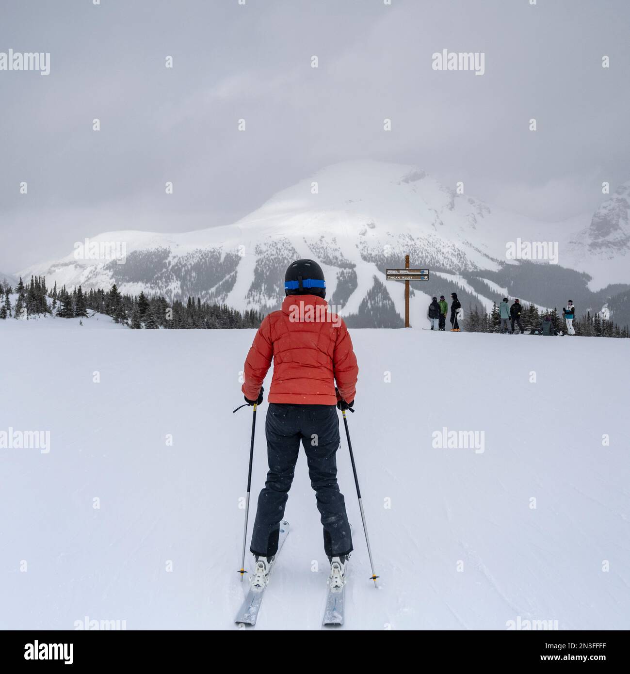 Sciatrice femminile in una stazione sciistica delle Montagne Rocciose del Parco Nazionale di Banff, Alberta, Canada; Improvement District No. 9, Alberta, Canada Foto Stock