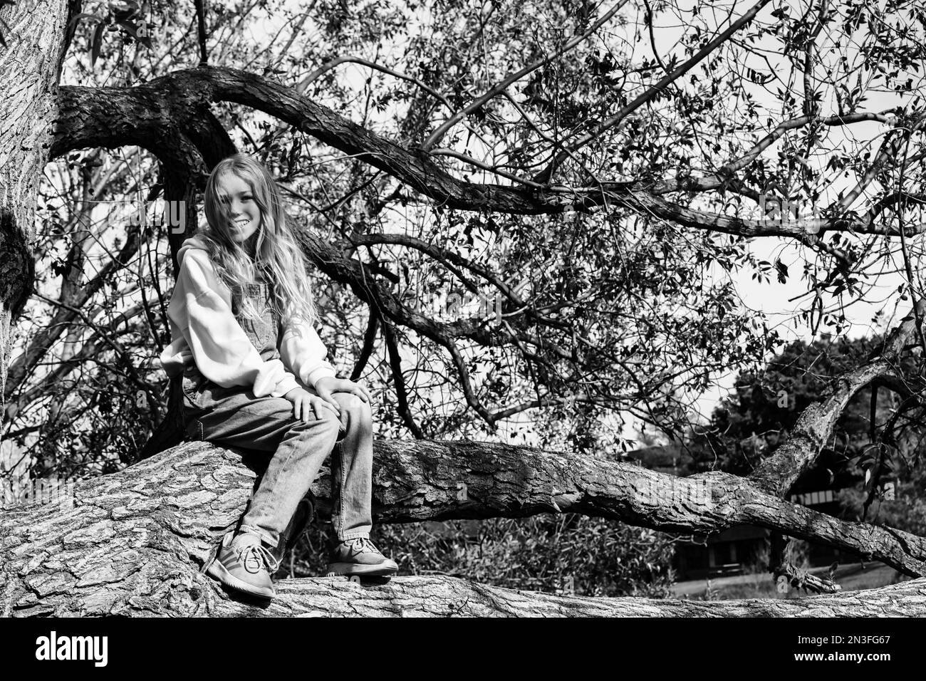 Ritratto in bianco e nero di una giovane ragazza che posa per un quadro in un albero durante una gita in famiglia in una calda giornata autunnale in un parco cittadino Foto Stock