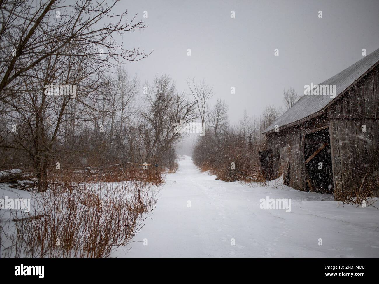 Nevicate in campagna con fienile di legno accanto alla strada di campagna innevata; Ottawa Valley, Ontario, Canada Foto Stock