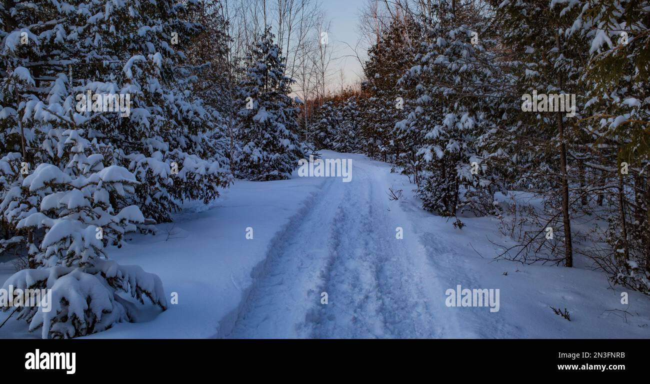Piste di pneumatici nella neve alta lungo una corsia di campagna al tramonto; Ottawa Valley, Ontario, Canada Foto Stock