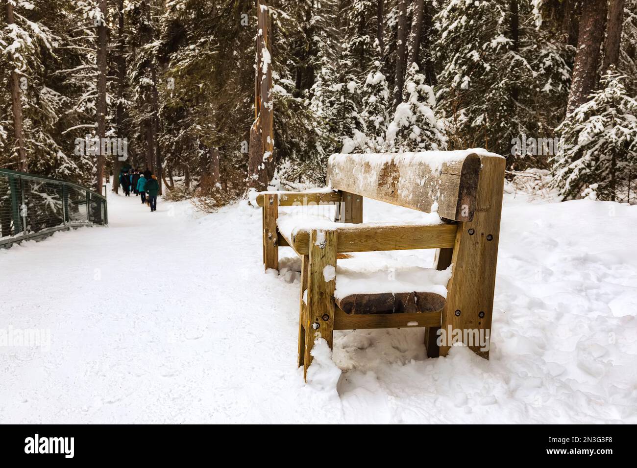Sentiero escursionistico innevato e panchina al Johnston Canyon durante l'inverno nel Banff National Park; Alberta, Canada Foto Stock