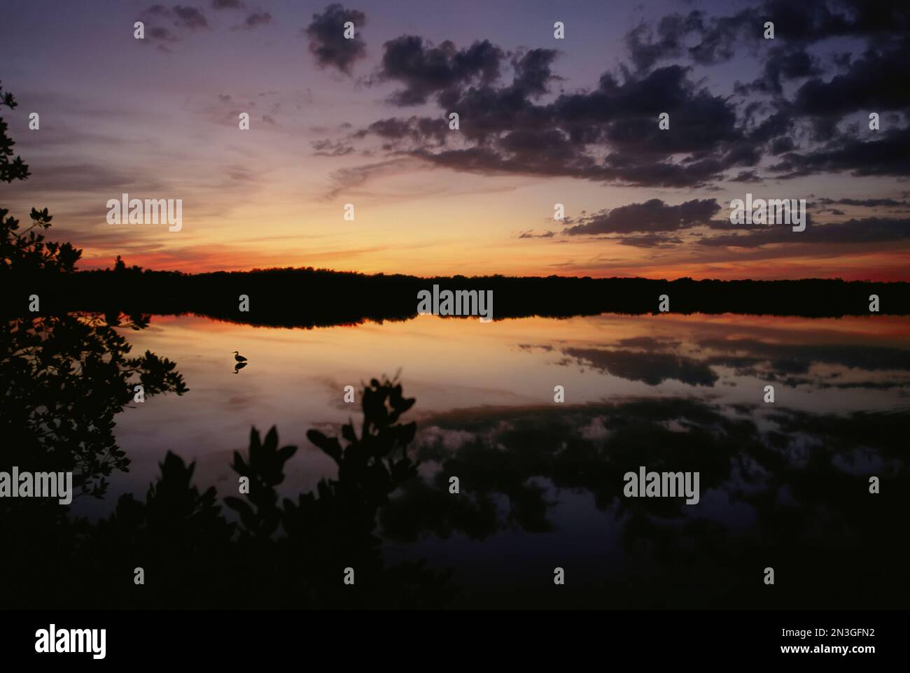Crepuscolo sulle acque di un rifugio naturale nazionale in Florida, Stati Uniti d'America; Florida, Stati Uniti d'America Foto Stock