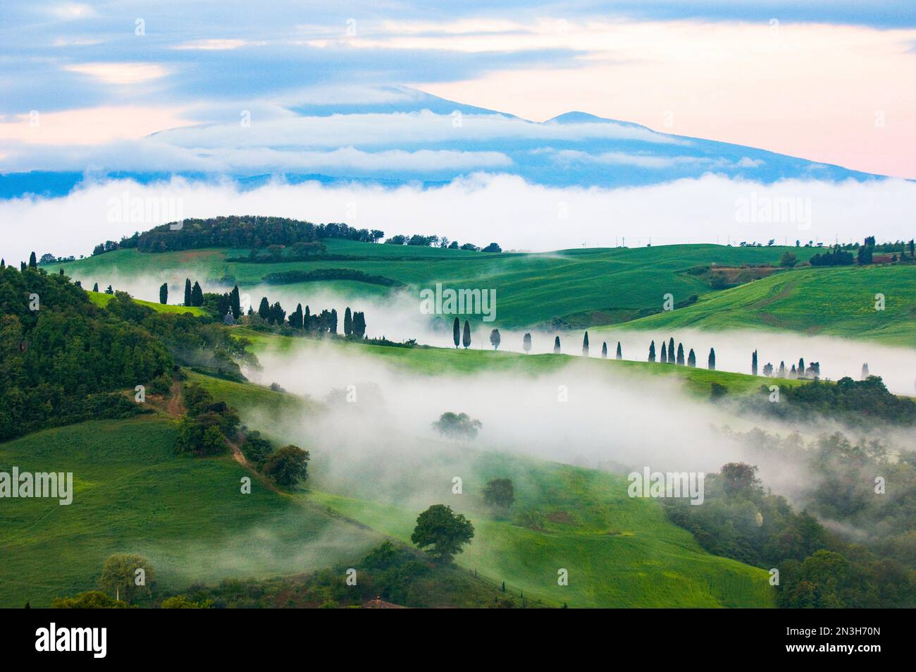 La nebbia di prima mattina si snoda su colline e vigneti vicino a Pienza, Italia; Pienza, Toscana, Italia Foto Stock