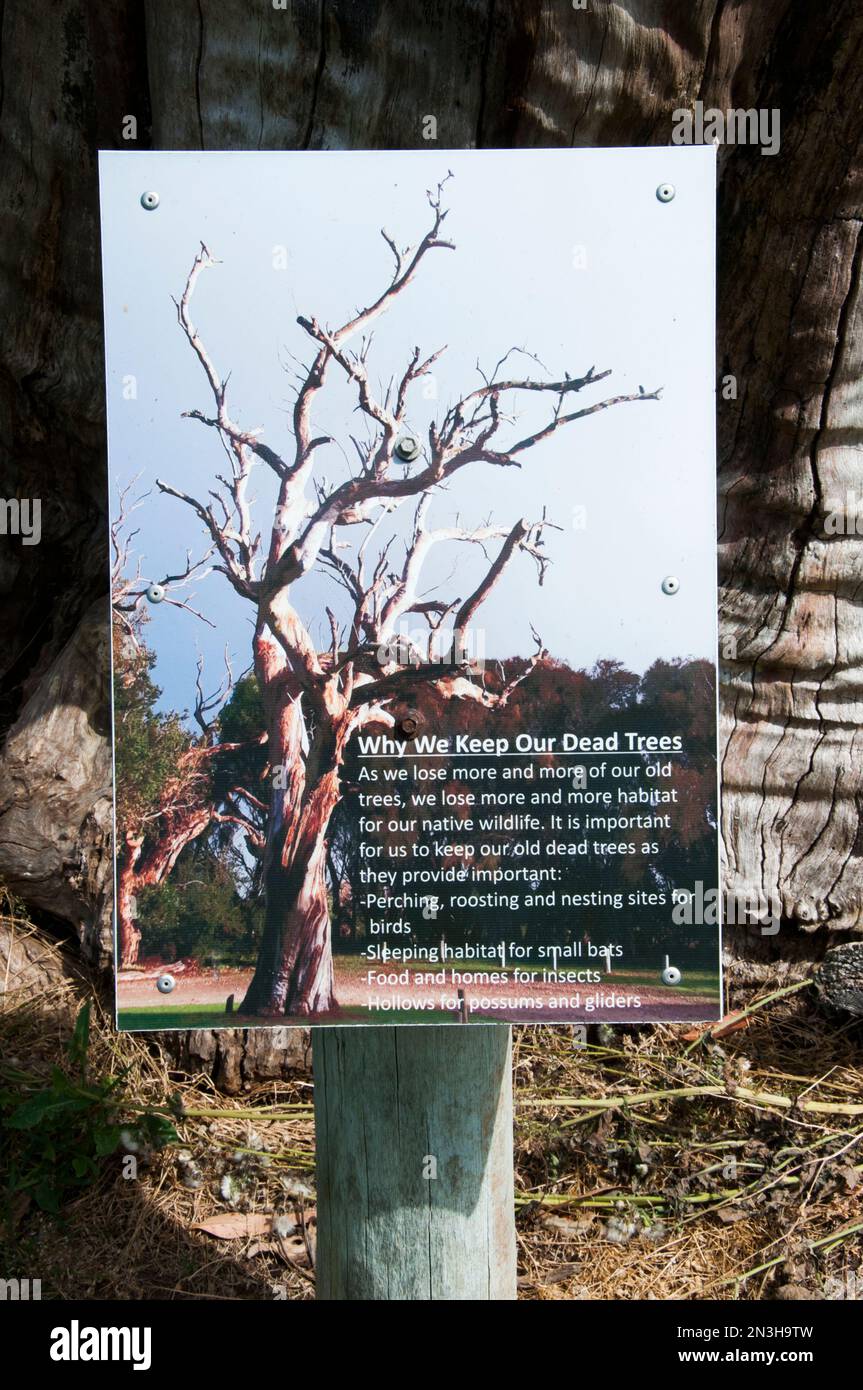 Cartello che spiega la conservazione dei tronchi morti di alberi presso la riserva del lago McIntyre, Millicent, sud-est dell'Australia Foto Stock