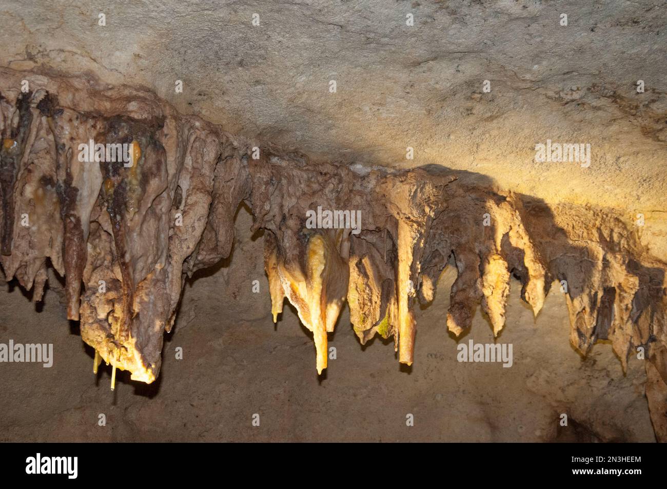 Formazioni calcaree di stalattiti e stalagmiti nella Alexandra Cave presso il Parco Nazionale delle Naracoorte Caves, Australia Meridionale Foto Stock