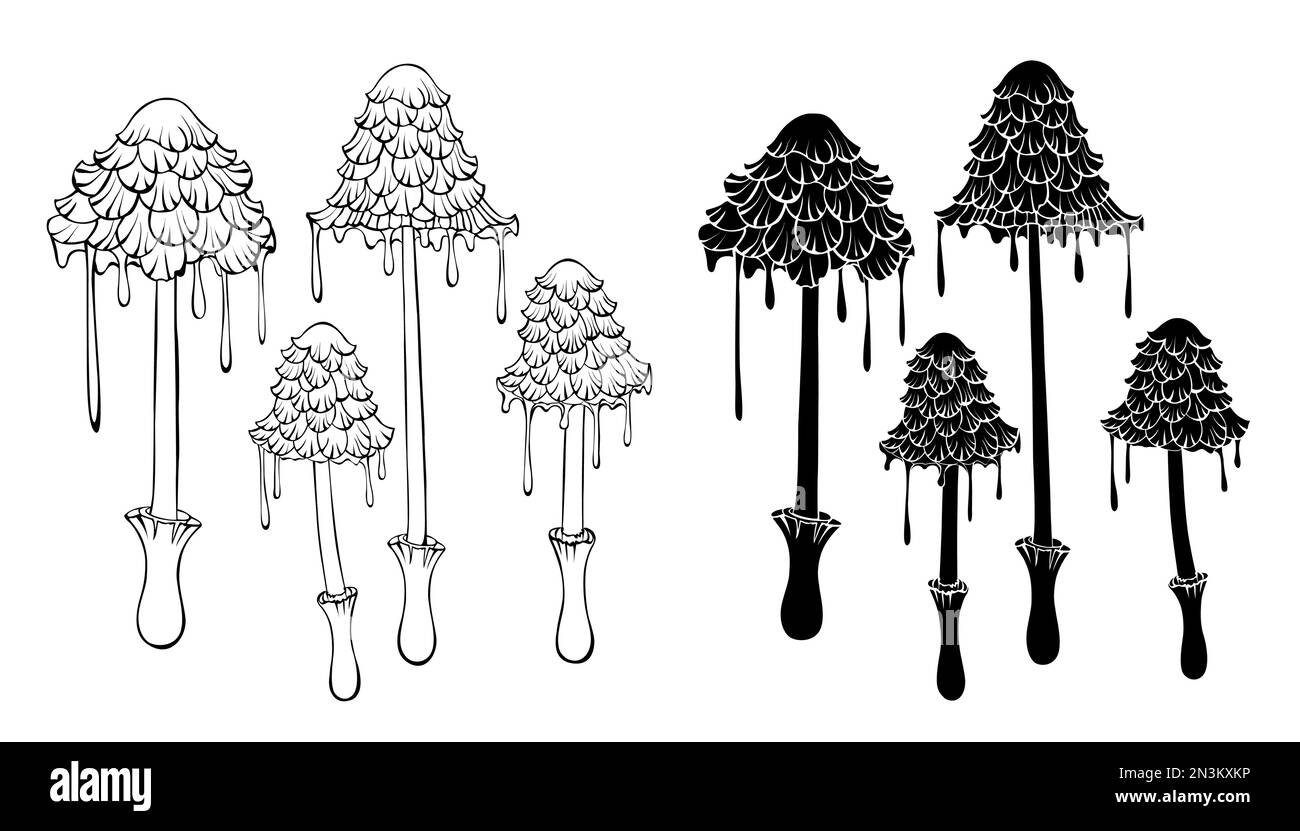 Set di silhouette e contorni, funghi d'inchiostro isolati e disegnati artisticamente su sfondo bianco. Cottagecore. Mushroomcore. Contorno e silhouette eleme Illustrazione Vettoriale